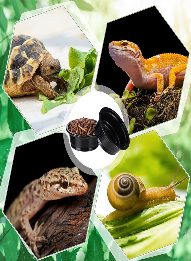 Maxcheck 500 Pcs 0.5 oz Gecko Feeding Cups Small Gecko Food and Water Cups Reptile Feeding Bowls Plastic Bearded Dragon Food Bowl for Lizard Small Pet Ledge Accessories (Black) - Image 5